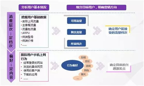 數果智能 大數據時代的精細化營銷之道與實戰分析